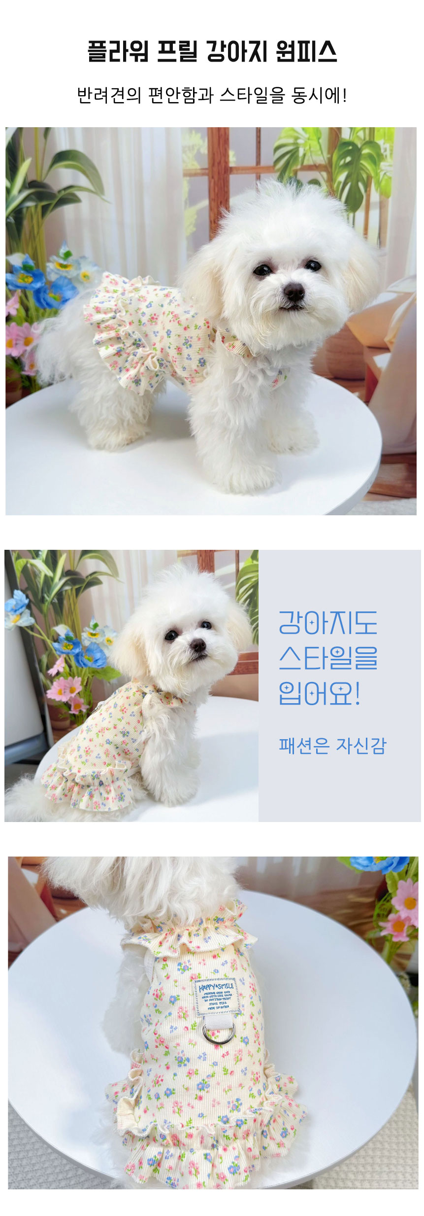 KakaoTalk_20250708_114600212_02.jpg