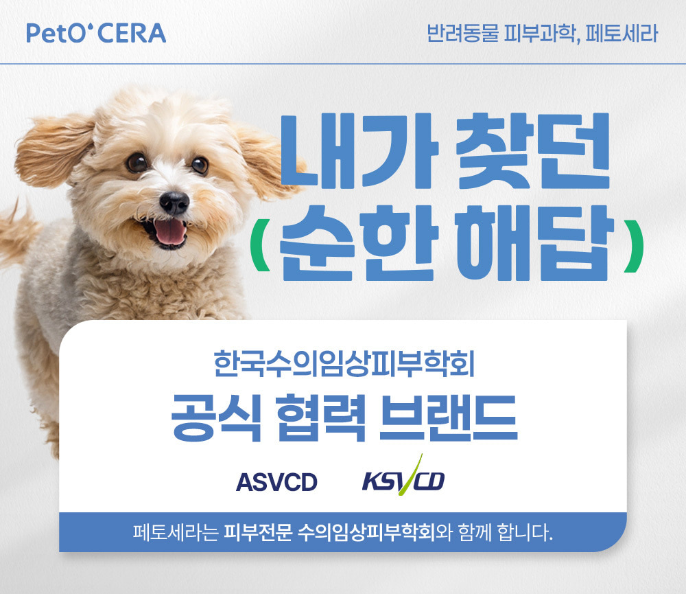 00_상세페이지 제일 상단 위치.jpg