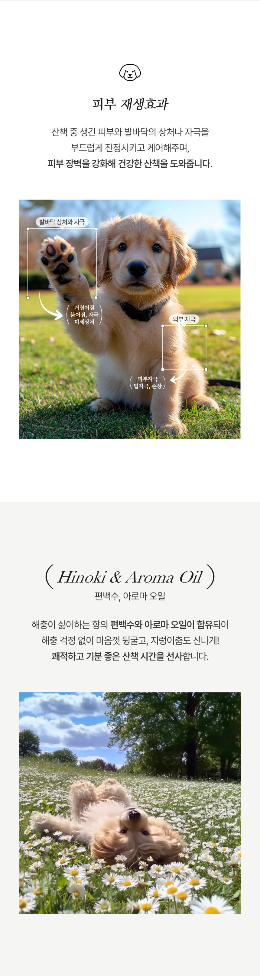 KakaoTalk_20250717_170741642_04.jpg