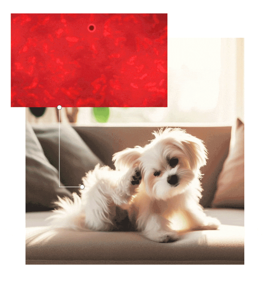 KakaoTalk_20250717_170741642_06.gif