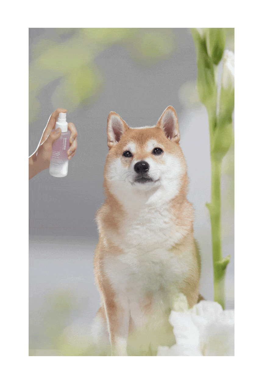 KakaoTalk_20250717_170741642_08.gif