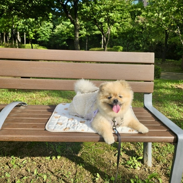 KakaoTalk_20250827_180145387_07.jpg