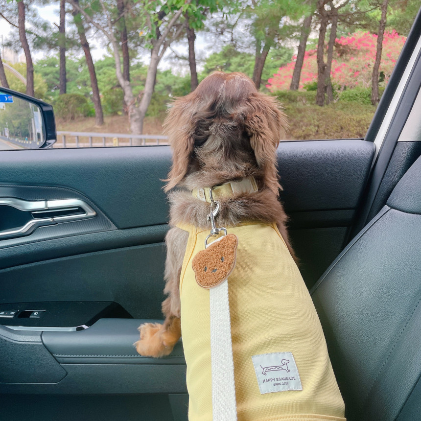 KakaoTalk_20250827_181033029_08.jpg