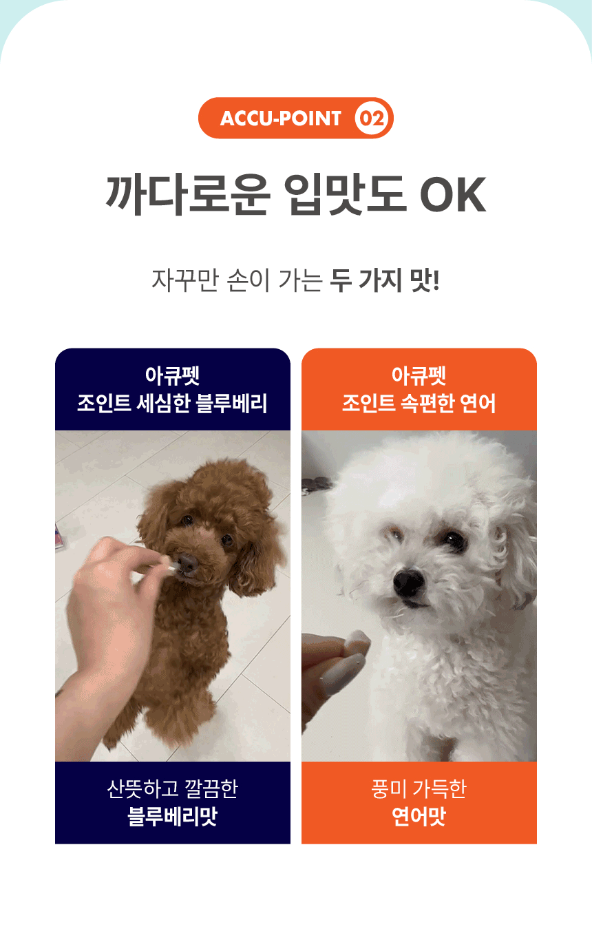 03. 0826_아큐펫-상세페이지_소형견_M3_72.gif