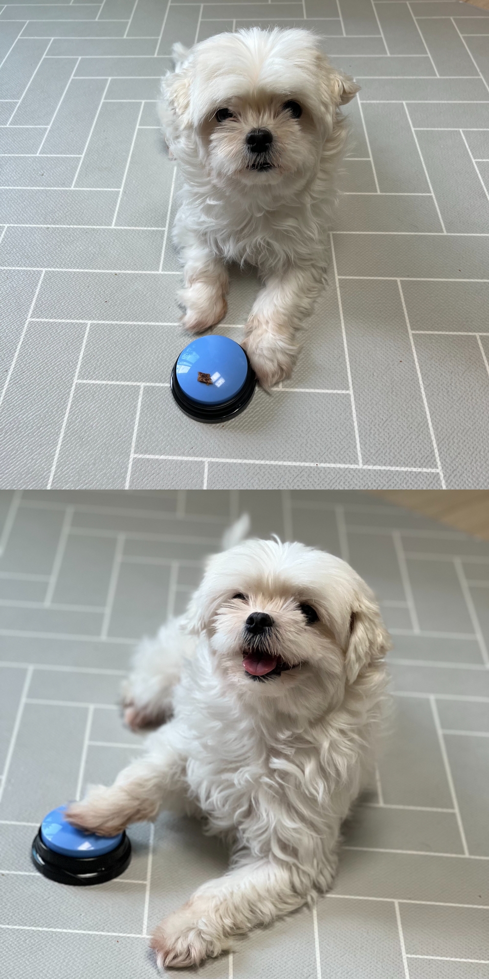녹음벨 상세페이지 10.jpg