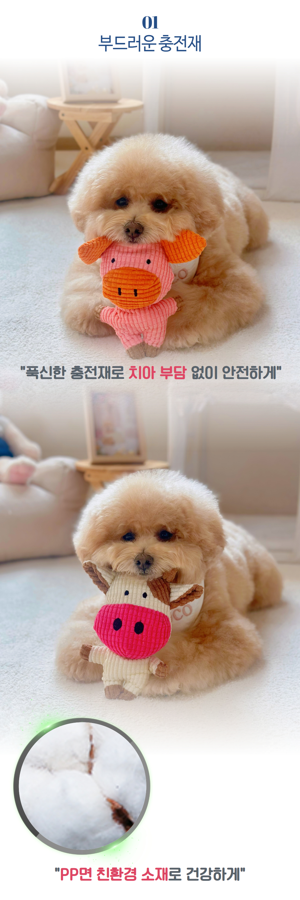 제목을 입력하세요 4.jpg