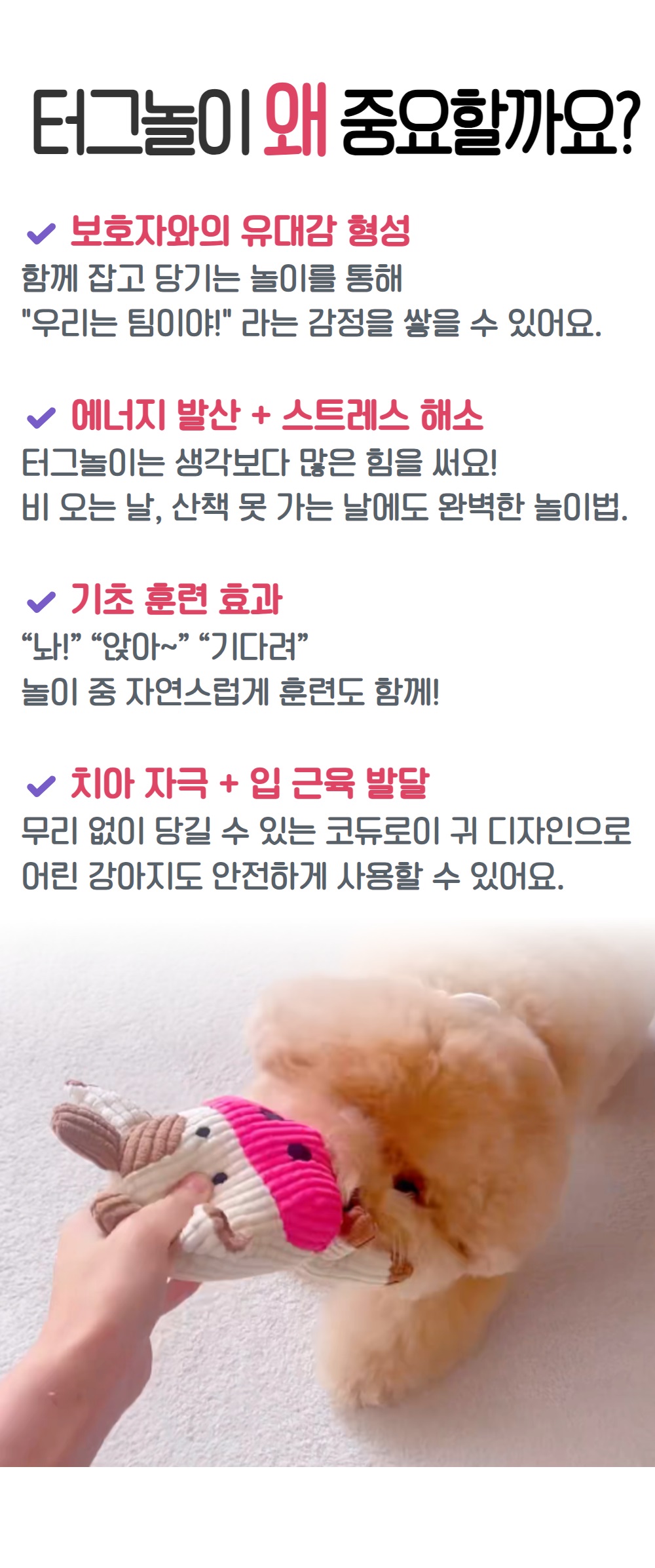 제목을 입력하세요 10.jpg