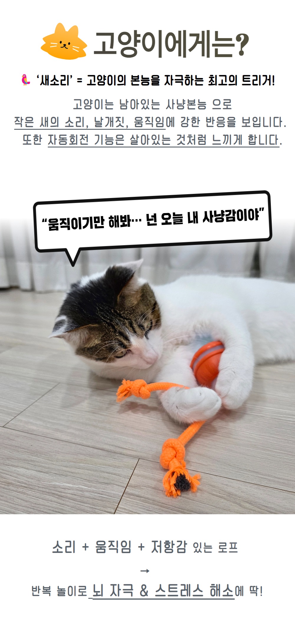 SCB-07 상세페이지 11.jpg