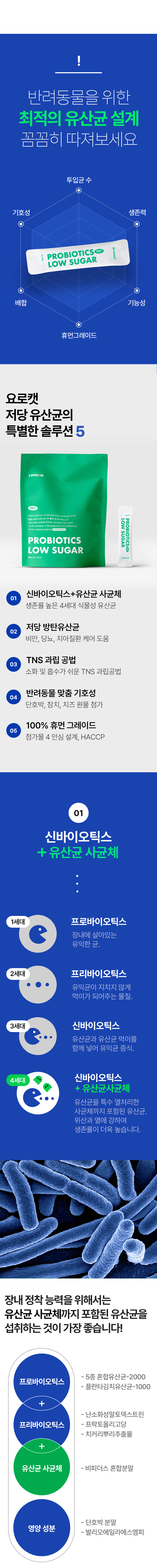 6유산균소개.jpg