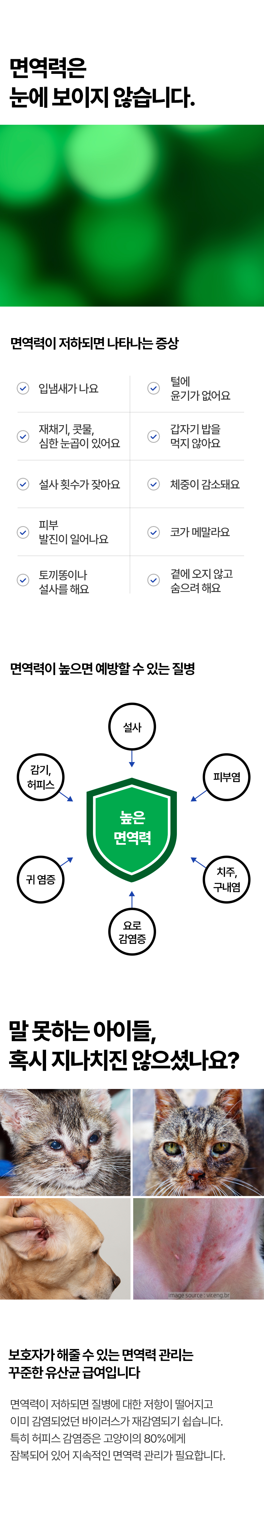 5면역력중요.jpg