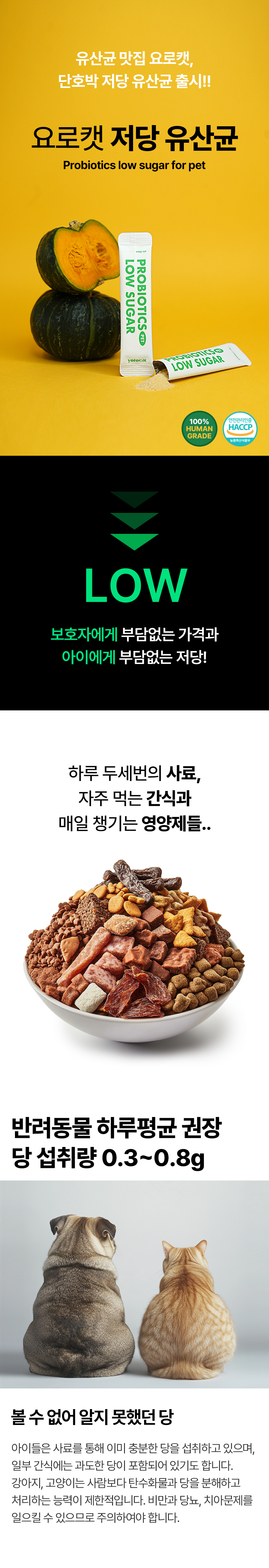 01_출시.jpg