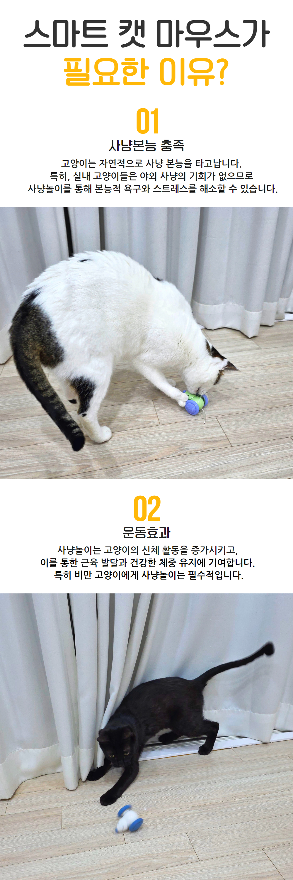 SCB-06 상페 10.jpg