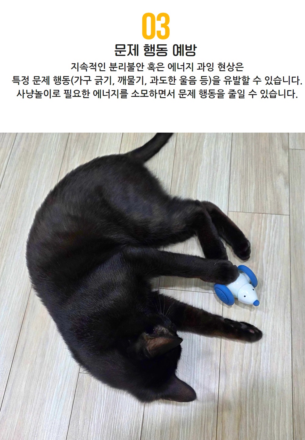 SCB-06 상페 11.jpg