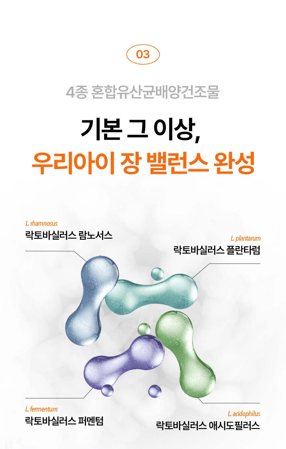 펫쏘몰_13_01_01.jpg