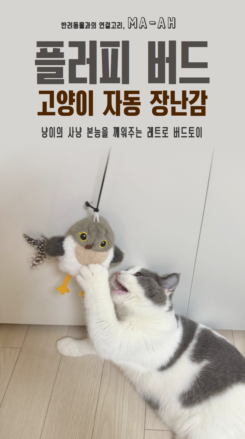 플러피 버드 상페 1.jpg