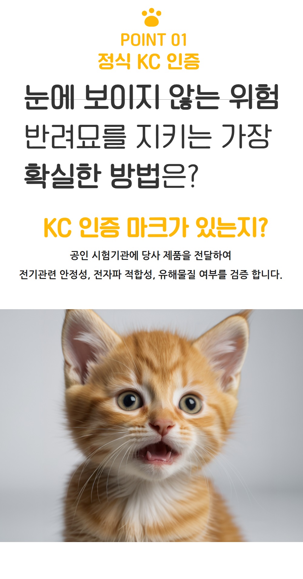 플러피 버드 상페 3.jpg