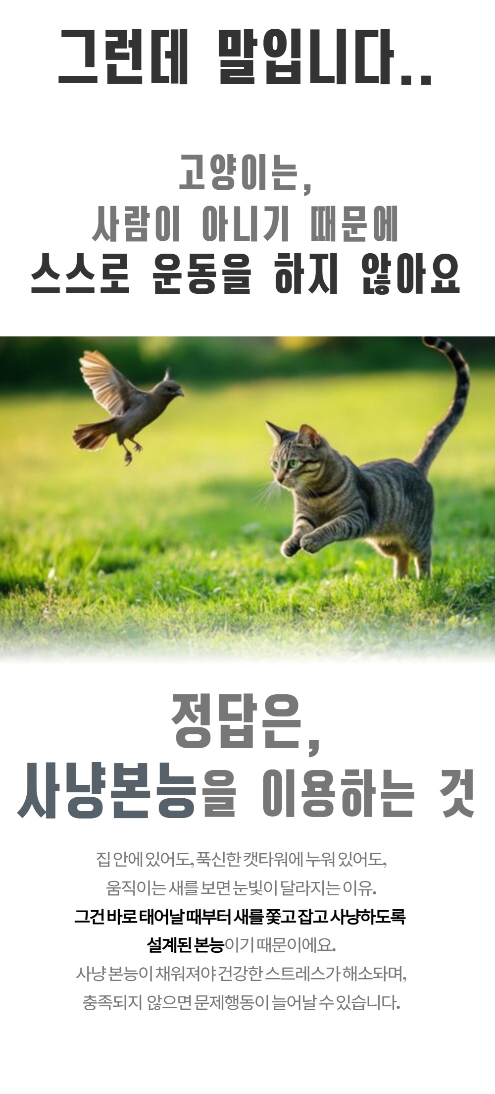 플러피 버드 상페 7.jpg