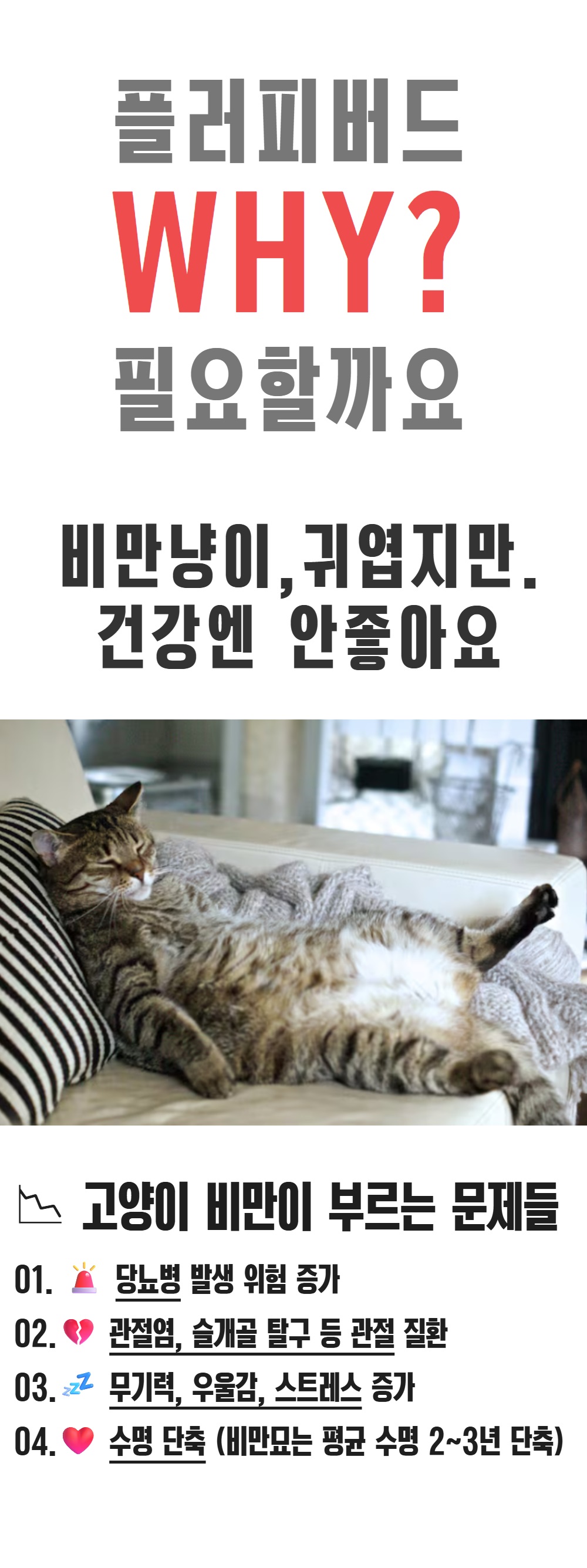 플러피 버드 상페 6.jpg