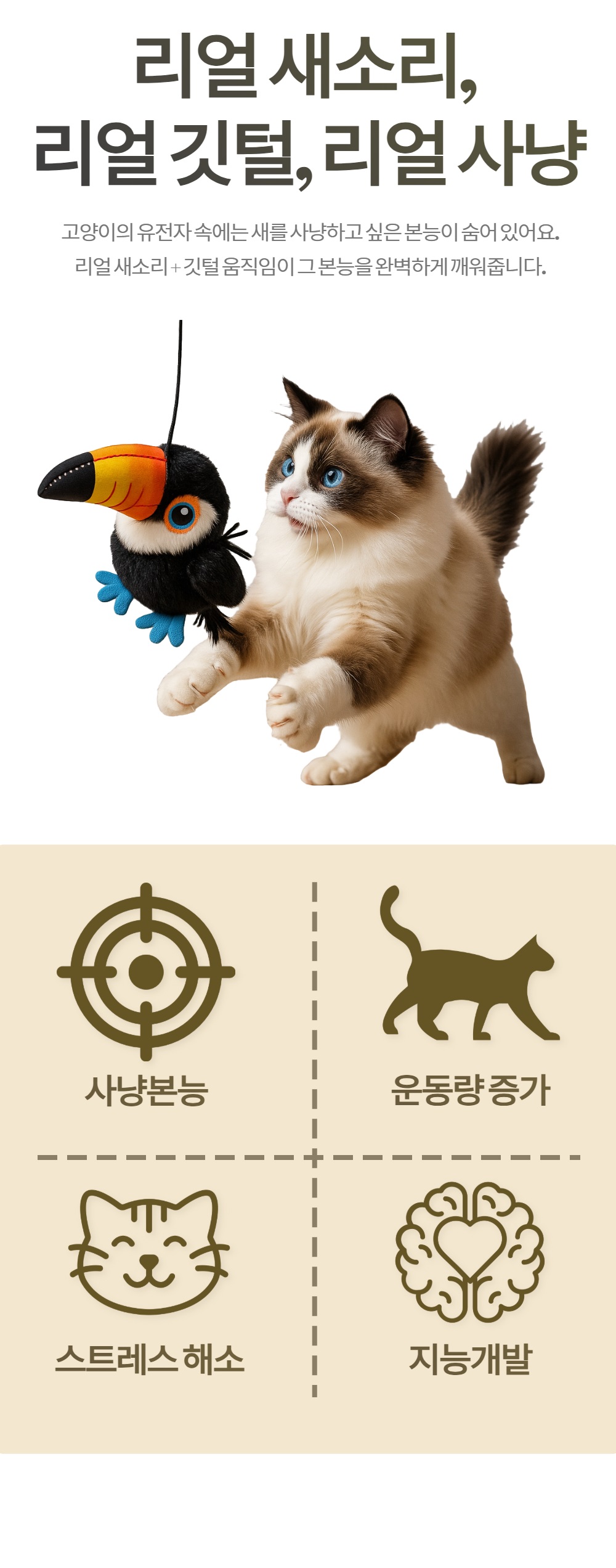 플러피 버드 상페 10.jpg