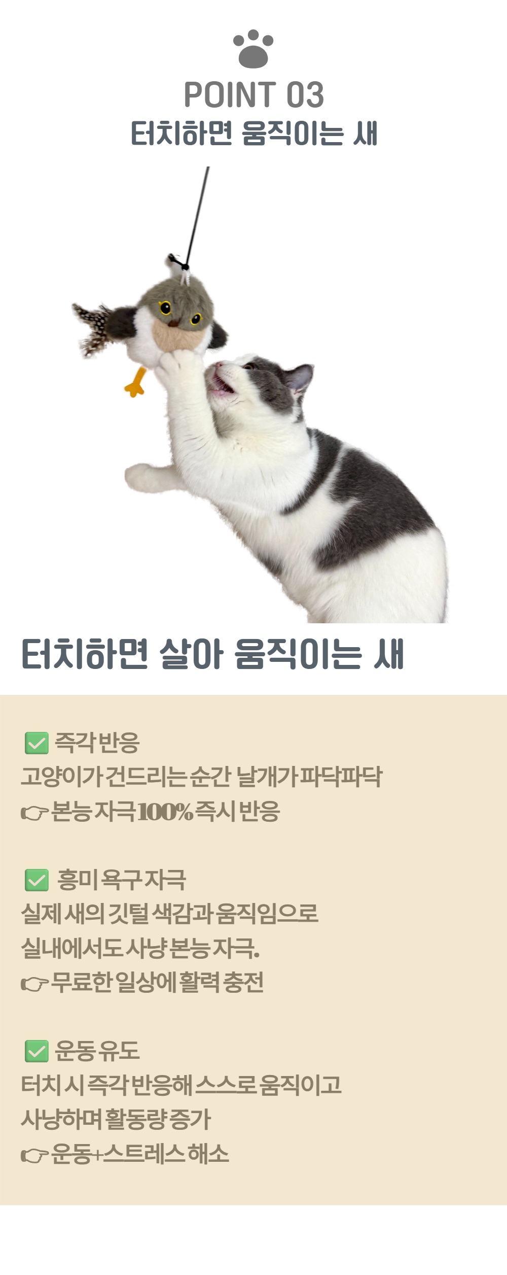 플러피 버드 상페 15.jpg